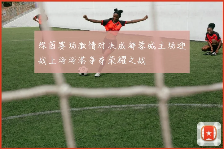绿茵赛场激情对决成都蓉城主场迎战上海海港争夺荣耀之战