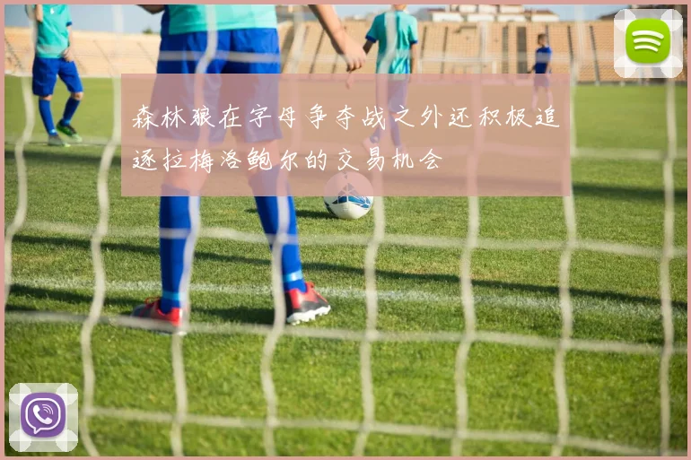 森林狼在字母争夺战之外还积极追逐拉梅洛鲍尔的交易机会